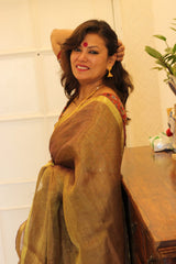 Pure Linen Coffee Colored Tissue Saree
